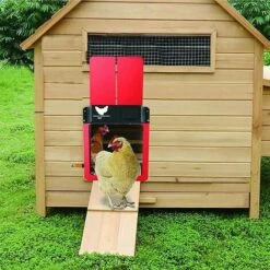 Poulailler et élevage de la basse-cour Soldes 2022 -POULAILLER ET ÉLEVAGE DE LA BASSE-COUR Ventes 61047990 2