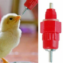SLI-RES Tetine Abreuvoir Poules Tetine Automatique Pour Poule Volaille Poulet Canard Distributeur D'eau Le Style Vis à Vis élevage Alimentation Du Bétail Abreuver équipement 5.2*1.5cm (Rouge) 6 Pcs，Lilaris -POULAILLER ET ÉLEVAGE DE LA BASSE-COUR Ventes 61346378 3
