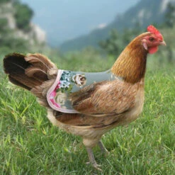 SLI-RES Tablier Poulet Selle Volaille, Selle De Poulet Poule Tablier De Poulet Pour Poule De Volaille Protecteur Dorsal D'Aile Pour Volaille Gilets De SéCurité Pour Poulet Pour Petits Animaux Volaille 21*18*0.3cm (Mélanger) 2 Pcs，Lilaris -POULAILLER ET ÉLEVAGE DE LA BASSE-COUR Ventes 61346394 3