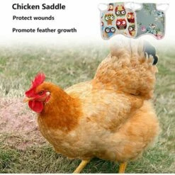 SLI-RES Tablier Poulet Selle Volaille, Selle De Poulet Poule Tablier De Poulet Pour Poule De Volaille Protecteur Dorsal D'Aile Pour Volaille Gilets De SéCurité Pour Poulet Pour Petits Animaux Volaille 21*18*0.3cm (Mélanger) 2 Pcs，Lilaris -POULAILLER ET ÉLEVAGE DE LA BASSE-COUR Ventes 61346394 4