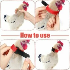 REGALI 4 Pièces Colliers De Poulet Colliers De Coq Colliers De Poulet Réglables Empêchent Les Poulets Hurlants D'ennuyer Les Voisins -POULAILLER ET ÉLEVAGE DE LA BASSE-COUR Ventes 61580780 4
