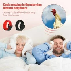 REGALI 4 Pièces Colliers De Poulet Colliers De Coq Colliers De Poulet Réglables Empêchent Les Poulets Hurlants D'ennuyer Les Voisins -POULAILLER ET ÉLEVAGE DE LA BASSE-COUR Ventes 61580780 5