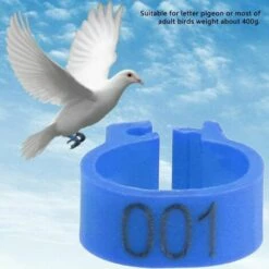 GESCHENKE 100 Pièces Anneaux De Poule, Anneaux D'Oiseau Anneaux De Pigeon De Volaille En Plastique Pour Poussins Canards (Bleu) -POULAILLER ET ÉLEVAGE DE LA BASSE-COUR Ventes 61583594 3