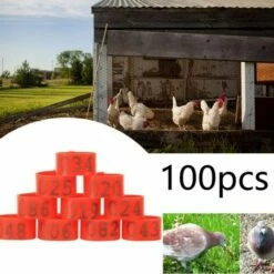 REGALOS 100 Pièces Poulet Anneau Taille Réglable Volaille Jambes Numéro étiquette Boucle Boucle Canard Volaille Poulet Fournitures（rouge） -POULAILLER ET ÉLEVAGE DE LA BASSE-COUR Ventes 61654407 4