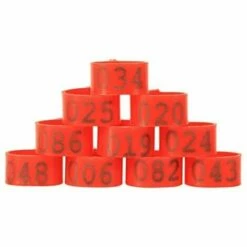 REGALOS 100 Pièces Poulet Anneau Taille Réglable Volaille Jambes Numéro étiquette Boucle Boucle Canard Volaille Poulet Fournitures（rouge） -POULAILLER ET ÉLEVAGE DE LA BASSE-COUR Ventes 61654407 5