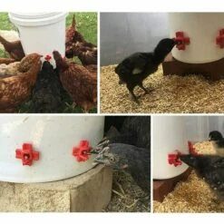 ROSIER 10 Pièces Buveurs D'Eau De Poulet En Plastique Et Acier Inoxydable 304 Abreuvoir Automatique Pour Tétine De Poulet En Rouge 32 X 32mm Distributeur Abreuvoir Équipement Pour Poulet Oie Oiseau,—VEBTles -POULAILLER ET ÉLEVAGE DE LA BASSE-COUR Ventes 63813293 5