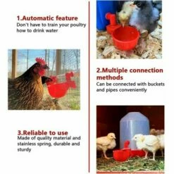 FOZIY 6pcs Automatiques Supplies Abreuvoir Poules Tasses à Bol Bol En Plastique, Volailles Distributeurs D'eau Automatique De L'eau Potable Tasses Pour Poussins Cailles Canards Bird，Fonepro -POULAILLER ET ÉLEVAGE DE LA BASSE-COUR Ventes 63840560 3