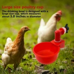 FOZIY 6pcs Automatiques Supplies Abreuvoir Poules Tasses à Bol Bol En Plastique, Volailles Distributeurs D'eau Automatique De L'eau Potable Tasses Pour Poussins Cailles Canards Bird，Fonepro -POULAILLER ET ÉLEVAGE DE LA BASSE-COUR Ventes 63840560 4