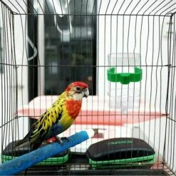 FOZIY 2 X Distributeur D'eau Pour Oiseaux Mangeoire Automatique Abreuvoir Pour Oiseaux Abreuvoir Pour Oiseaux,Fonepro 8 FOZIY 2 X Distributeur D'eau Pour Oiseaux Mangeoire Automatique Abreuvoir Pour Oiseaux Abreuvoir Pour Oiseaux,Fonepro -POULAILLER ET ÉLEVAGE DE LA BASSE-COUR Ventes 63841774 4