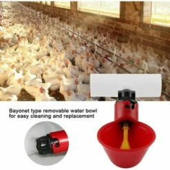 GroupM Bol à Boire Poulet Par Défaut 5 Pièces Avec Bol à Boire Automatique Mangeoire à Pigeon Pour Oiseaux D'élevage -POULAILLER ET ÉLEVAGE DE LA BASSE-COUR Ventes 63894517 5