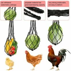 BAICCCF Accessoire Poulailler Lot De 4 Jouets De Poulet Pour Accessoires De Poulailler, Balançoire De Poulet, Xylophone, Mangeoire à Suspendre Pour Légumes, étagère à Fruits De Poulet Pour Coq De Volaille, Grand Oiseau, Perroquet, Cadeau De Divertissement. -POULAILLER ET ÉLEVAGE DE LA BASSE-COUR Ventes 64107272 5