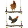 BAICCCF Accessoire Poulailler Lot De 2 Jouets De Balançoire De Poulet En Bois Naturel, Jouet De Support En Bois De Poulet, Accessoires De Poulailler, Jouet De Balançoire De Perruche De Poulet Pour Poules De Poulet, Perruche, Entraînement D'oiseaux