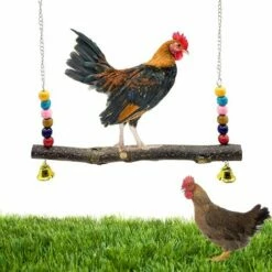 BAICCCF Accessoire Poulailler Lot De 2 Jouets De Balançoire De Poulet En Bois Naturel, Jouet De Support En Bois De Poulet, Accessoires De Poulailler, Jouet De Balançoire De Perruche De Poulet Pour Poules De Poulet, Perruche, Entraînement D'oiseaux -POULAILLER ET ÉLEVAGE DE LA BASSE-COUR Ventes 64107295 3
