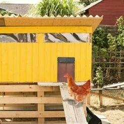 SLBRILLèRE Nouveau Porte Poulailler Automatique Etanche Avec Capteur De Lumière Porte De Poulailler Automatique à Induction à Pile,résistante Aux Prédateurs Facile à Installer -POULAILLER ET ÉLEVAGE DE LA BASSE-COUR Ventes 64137487 5