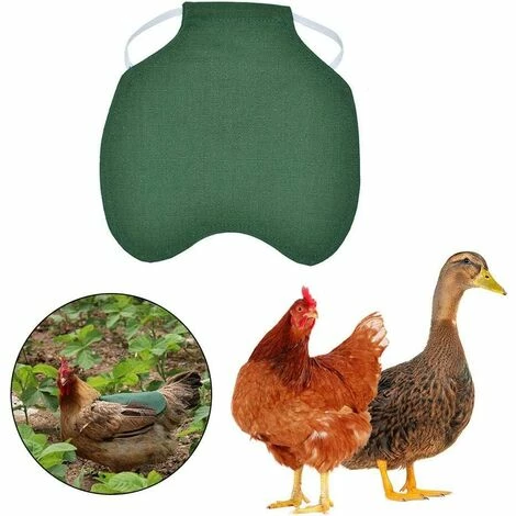 CARILLONSàVENT Tablier De Poulet À Sangle Unique/Gilet De Selle Protection De L'aile De Canard De Poule Vestes De Poulet Standard Tabliers De Poule Accessoires De Soins De Volaille 5pcs-vert Carivent 1 CARILLONSàVENT Tablier De Poulet À Sangle Unique/Gilet De Selle Protection De L'aile De Canard De Poule Vestes De Poulet Standard Tabliers De Poule Accessoires De Soins De Volaille 5pcs-vert Carivent