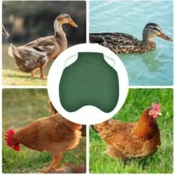 CARILLONSàVENT Tablier De Poulet À Sangle Unique/Gilet De Selle Protection De L'aile De Canard De Poule Vestes De Poulet Standard Tabliers De Poule Accessoires De Soins De Volaille 5pcs-vert Carivent 7 CARILLONSàVENT Tablier De Poulet À Sangle Unique/Gilet De Selle Protection De L'aile De Canard De Poule Vestes De Poulet Standard Tabliers De Poule Accessoires De Soins De Volaille 5pcs-vert Carivent -POULAILLER ET ÉLEVAGE DE LA BASSE-COUR Ventes 64139286 3