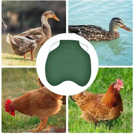 CARILLONSàVENT Tablier De Poulet À Sangle Unique/Gilet De Selle Protection De L'aile De Canard De Poule Vestes De Poulet Standard Tabliers De Poule Accessoires De Soins De Volaille 5pcs-vert Carivent 3 CARILLONSàVENT Tablier De Poulet À Sangle Unique/Gilet De Selle Protection De L'aile De Canard De Poule Vestes De Poulet Standard Tabliers De Poule Accessoires De Soins De Volaille 5pcs-vert Carivent – Image 3