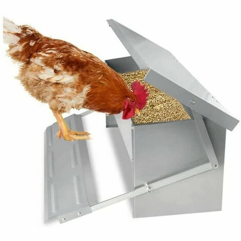 Randaco Mangeoire Automatique Avec Couvercle Distributeur Automatique Auge Auge D’alimentation Résistante Aux Intempéries 5kg - Argent 1 Randaco Mangeoire Automatique Avec Couvercle Distributeur Automatique Auge Auge D’alimentation Résistante Aux Intempéries 5kg - Argent