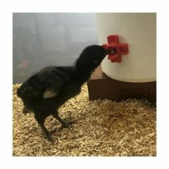 MONLY Tétine à Eau De Volaille, Abreuvoir Automatique Pour Tétine De Poulet Avec Montage Latéral Horizontal, Lot De 12 -POULAILLER ET ÉLEVAGE DE LA BASSE-COUR Ventes 64457886 5