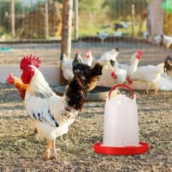 HEGUYEY Poussin Mangeoire Abreuvoir Ensemble Suspendu Volaille Mangeoire En Plastique Volaille Fontaine Volaille Buveur Pour Ferme Poulailler Poulet Distributeur D'eau Mangeoire Ensemble 8 HEGUYEY Poussin Mangeoire Abreuvoir Ensemble Suspendu Volaille Mangeoire En Plastique Volaille Fontaine Volaille Buveur Pour Ferme Poulailler Poulet Distributeur D'eau Mangeoire Ensemble -POULAILLER ET ÉLEVAGE DE LA BASSE-COUR Ventes 64498885 4