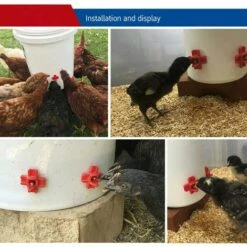 REGALOS Lot De 20 Tétines De Poulet à Montage Latéral Horizontal Pour Volaille, Tétine D'abreuvoir à L'extérieur Pour Poulet, Canard, Caille Et Autres Volailles (20) 8 REGALOS Lot De 20 Tétines De Poulet à Montage Latéral Horizontal Pour Volaille, Tétine D'abreuvoir à L'extérieur Pour Poulet, Canard, Caille Et Autres Volailles (20) -POULAILLER ET ÉLEVAGE DE LA BASSE-COUR Ventes 64546173 4