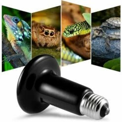 DENUOTOP E27 75W Émetteur Radiateur Animaux Ampoule Infrarouge Chauffage En Céramique,Lampe De Reptile Pour Amphibiens, Serpent, Oiseaux,Tortue, Chat, Chien