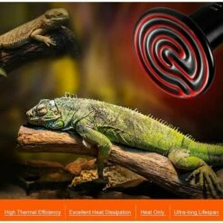 DENUOTOP E27 75W Émetteur Radiateur Animaux Ampoule Infrarouge Chauffage En Céramique,Lampe De Reptile Pour Amphibiens, Serpent, Oiseaux,Tortue, Chat, Chien -POULAILLER ET ÉLEVAGE DE LA BASSE-COUR Ventes 64884467 5