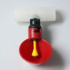 5pcs Automatique Volaille Eau Tasses À Bol Bol En Plastique Poulet Poule Oiseau Auto Buveur Abreuvoir D'alimentation 56Vingt -POULAILLER ET ÉLEVAGE DE LA BASSE-COUR Ventes 64938039 4