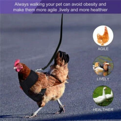 FR-LIFE Harnais Souple RéGlable Harnais De Poule 3 PièCes D'éLingue De Poulet Nouvelle Laisse Pour Animaux De Compagnie, RéGlable, Confortable, Respirante, Petite Laisse De Canard Avec Laisse Pour Animaux—BR-Vie -POULAILLER ET ÉLEVAGE DE LA BASSE-COUR Ventes 65205566 5