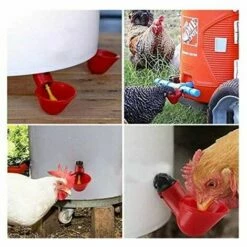 L'FLANEUR 15 Bols D'eau De Poulet Avec Noix, Abreuvoir De Volaille En Plastique équipement D'élevage Pour Buveur De Caille D'oiseau De Poulet ANEUR -POULAILLER ET ÉLEVAGE DE LA BASSE-COUR Ventes 65355010 3