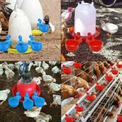AOUGO 4 Pcs,Abreuvoir Poules,Abreuvoirs Automatiques De Poulet,Volaille Automatique Abreuvoir,Abreuvoir En Plastique Bleu,Outil D'Abreuvement Pour Volaille,Convient Aux Poulets,Canards,Volailles, Oiseaux -POULAILLER ET ÉLEVAGE DE LA BASSE-COUR Ventes 65393000 4