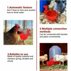 PREMIER 6pcs Automatiques Supplies Abreuvoir Poules Tasses à Bol Bol En Plastique, Volailles Distributeurs D'eau Automatique De L'eau Potable Tasses Pour Poussins Cailles Canards Bird -POULAILLER ET ÉLEVAGE DE LA BASSE-COUR Ventes 65584593 3
