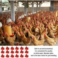 LONVRèE 18 Pcs,Abreuvoir Automatique Poule,TéTine à Eau De Volaille,Abreuvoir Poules ,Nouvelle Fontaine Boire Pour Poulet, Volaille Rouge,Adapté Aux Poules, Canards, Volailles (#1) -POULAILLER ET ÉLEVAGE DE LA BASSE-COUR Ventes 65642565 5