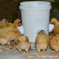 DONTODENT DIY Mangeoire Poules, 4 Anti Nuisible Mangeoire Poules Ports, Automatique Volailles Poules Mangeoire Pour Seaux, Fûts, Bacs Et Auges -POULAILLER ET ÉLEVAGE DE LA BASSE-COUR Ventes 65869171 3