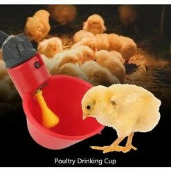 BENOBBY KIDS Abreuvoir à Volaille, 8 Pièces Gobelets Automatiques Pour Poulet, Mangeoire à Pigeon, Convient Aux Poulaillers, Canards, Dindes, Poules, Coqs, Fournitures Pour Animaux De Ferme -POULAILLER ET ÉLEVAGE DE LA BASSE-COUR Ventes 65905169 4