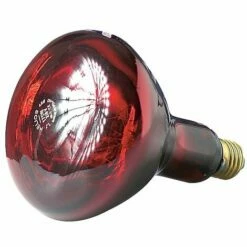 Ampoule Chauffante - Infrarouge Helios - 175 W - Ukal