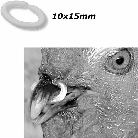 CYCLINGCOLORS 50x Anneau Anti-picage Petite Taille 10x15mm Jeune Volaille Poule Coq Faisan Perdrix 2 CYCLINGCOLORS 50x Anneau Anti-picage Petite Taille 10x15mm Jeune Volaille Poule Coq Faisan Perdrix – Image 2