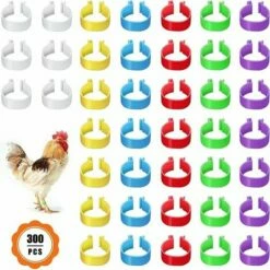 MONLY 300 Anneaux De Pied De Volaille, Petits Anneaux De Serrage De Volaille, Bandes De Volaille Pour Marquer Les Oiseaux, Perroquets, Pigeons, Cailles, Poussins (Jaune/bleu/blanc/violet/rouge/vert)，Fonepro