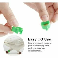 MONLY 300 Anneaux De Pied De Volaille, Petits Anneaux De Serrage De Volaille, Bandes De Volaille Pour Marquer Les Oiseaux, Perroquets, Pigeons, Cailles, Poussins (Jaune/bleu/blanc/violet/rouge/vert)，Fonepro -POULAILLER ET ÉLEVAGE DE LA BASSE-COUR Ventes 67668130 4