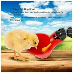 LLOVE 5 Pcs En Abreuvoir Poules, Tasses Automatiques Automatique Chicken Acier Inoxydable Eau Côté Horizontal Mamelons Poulet Volaille Lapin Buveur Abreuvoir Nipple (Bol à Eau à Vis Fixe) -POULAILLER ET ÉLEVAGE DE LA BASSE-COUR Ventes 67915222 5