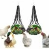 OYLDA Sac à Légumes, Fruits Et Gâteries Pour Poules, 2 Pièces, Noir