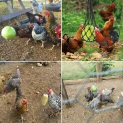 OYLDA Sac à Légumes, Fruits Et Gâteries Pour Poules, 2 Pièces, Noir -POULAILLER ET ÉLEVAGE DE LA BASSE-COUR Ventes 68139693 4