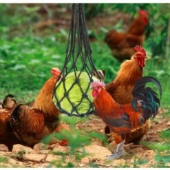 OYLDA Sac à Légumes, Fruits Et Gâteries Pour Poules, 2 Pièces, Noir -POULAILLER ET ÉLEVAGE DE LA BASSE-COUR Ventes 68139693 5