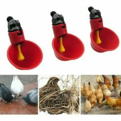 LLOVE Abreuvoir à Poule Automatique Tasses D'eau Potable Rouge Abreuvoir Poules Bien Pratique En Plastique Pour Oiseaux Poule Volaille - 5PCS -POULAILLER ET ÉLEVAGE DE LA BASSE-COUR Ventes 68201772 5