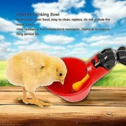 ZHUOXUAN Abreuvoir De Volaille 5 Pièces, Abreuvoir De Poulet, Abreuvoir De Poulet Automatique -POULAILLER ET ÉLEVAGE DE LA BASSE-COUR Ventes 68274935 3