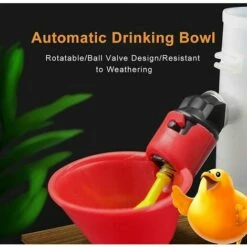 ZHUOXUAN Abreuvoir De Volaille 5 Pièces, Abreuvoir De Poulet, Abreuvoir De Poulet Automatique -POULAILLER ET ÉLEVAGE DE LA BASSE-COUR Ventes 68274935 4