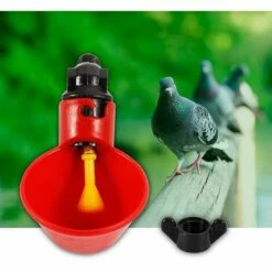 ZHUOXUAN Abreuvoir De Volaille 5 Pièces, Abreuvoir De Poulet, Abreuvoir De Poulet Automatique -POULAILLER ET ÉLEVAGE DE LA BASSE-COUR Ventes 68274935 5