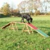 TRIXIE Passerelle Fun Agility, 456 × 64 × 30 Cm