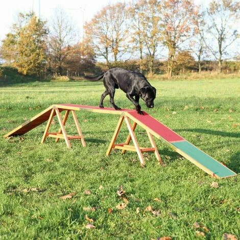 TRIXIE Passerelle Fun Agility, 456 × 64 × 30 Cm 1 TRIXIE Passerelle Fun Agility, 456 × 64 × 30 Cm