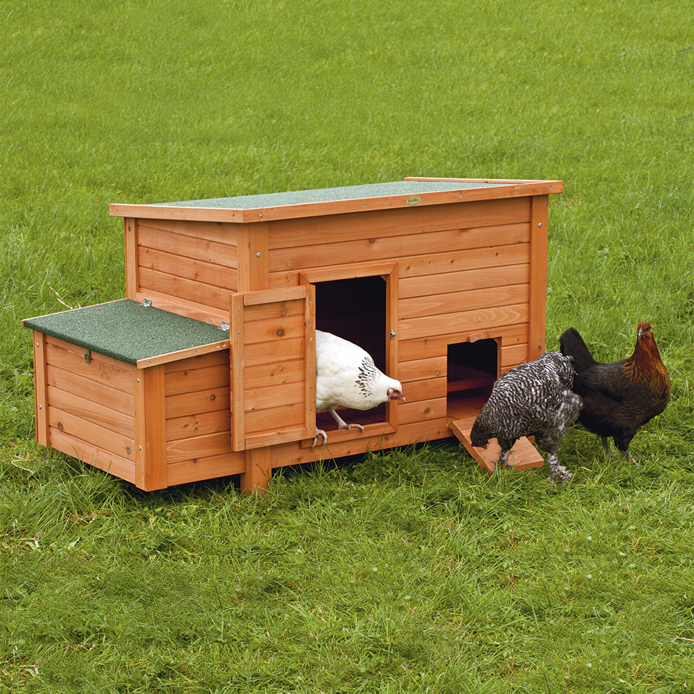 Poulailler et élevage de la basse-cour Soldes 2022 -POULAILLER ET ÉLEVAGE DE LA BASSE-COUR Ventes 5635